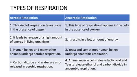 Chapter 10 Respiration In Organisms Science Class 7 PPT