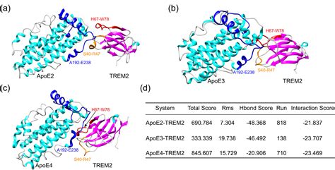 Molecular Recognition Of The Interaction Between Apoe And The Trem Protein