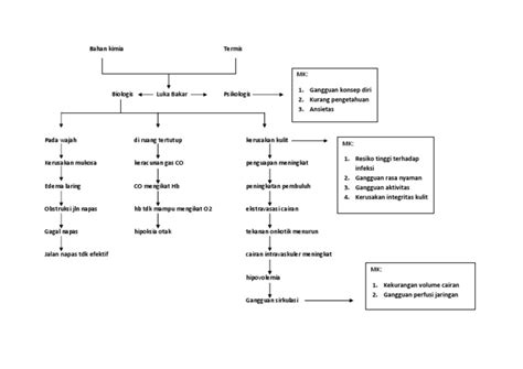 Pathway Luka Bakar Pdf