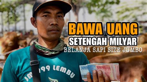 Bos Mukhlas Crazy Rich Pasar Belanja Sapi Ekor Size Jumbo Bawa