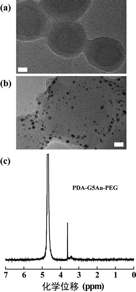 载药聚多巴胺树状大分子 金纳米颗粒的制备及应用的制作方法