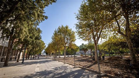 As Van Las Obras De Peatonalizaci N De La Plaza Espa A