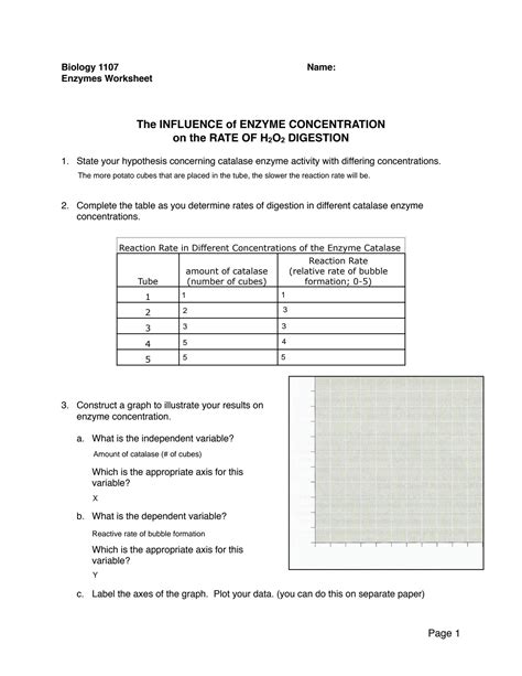 Solution Enzymes Worksheet Studypool Worksheets Library