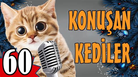 Konu An Kediler En Komik Kedi Videolar Youtube