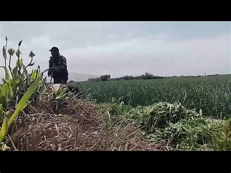 crossdresser al aire libre en lencería con campesina caliente XVIDEOS