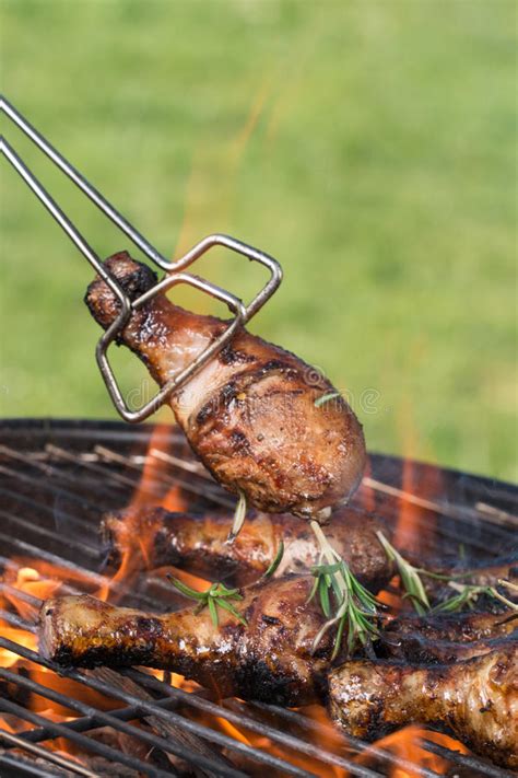 Grilled Chicken Legs Stock Photo Image Of Chicken Bacon