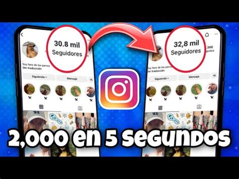 Descubre Las Mejores Aplicaciones Para Ganar Seguidores En Instagram