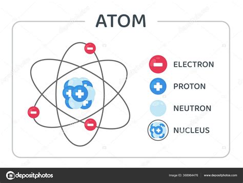 Vector Estructura Atómica Consiste Protones Neutrones Electrones Que Orbitan Núcleo Vector