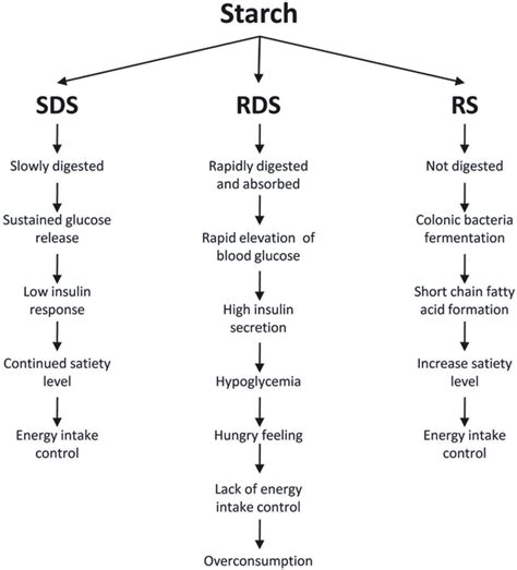 Scheme Representing Starch Classification And Its Main Postprandial Download Scientific Diagram