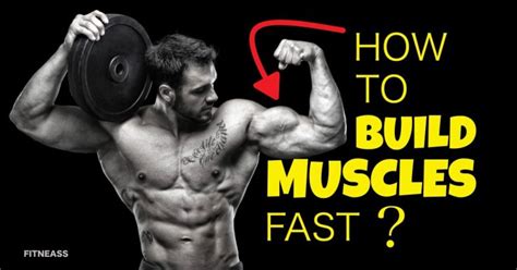 5 Essential Tips For Those Who Want To Build Muscles Fast - Fitneass