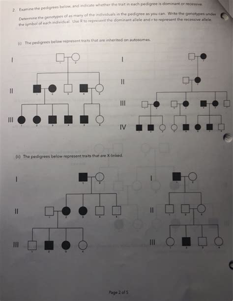 Solved Examine The Pedigrees Below And Indicate Whether Chegg