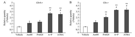 Effects Of RAR And RXR Agonists On Ghrh R And Ghs R MRNA Transcription