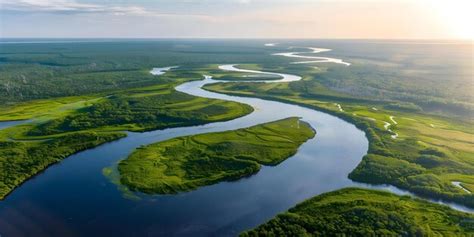 Page 10 Delta Landscape Images Free Download On Freepik