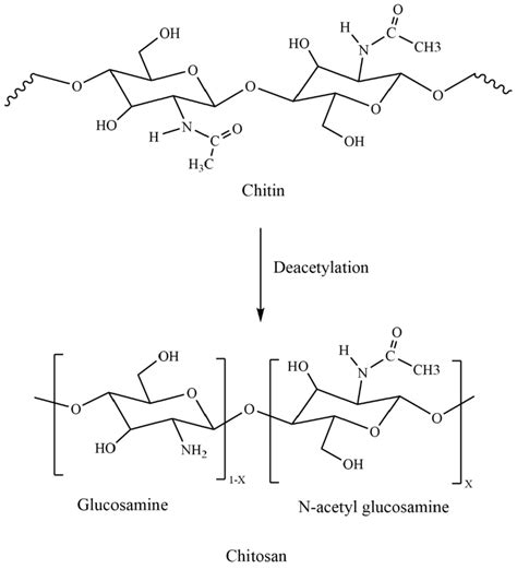 Schematic Representation Of Chitosan Download Scientific Diagram