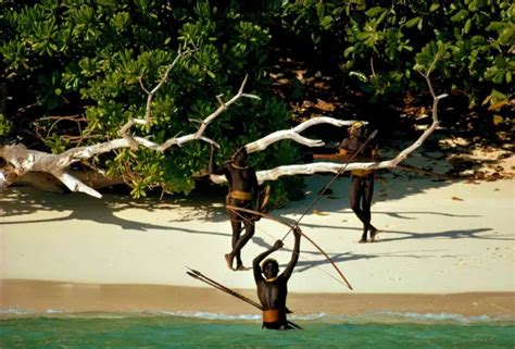 Everything About The Sentinelese An Uncontacted Tribe living On North ...