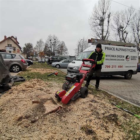 WYCINKA DRZEW wycinanie frezowanie pni zrębkowanie mielenie gałęzi