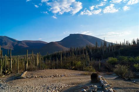 Declaran Patrimonio De La Humanidad Al Valle De Tehuac N Cuicatl N De