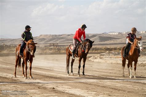 Mehr News Agency - Horse riding competition in Southern Khorasan