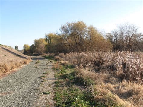 Guadalupe River Trail Hike (1-20-2014)