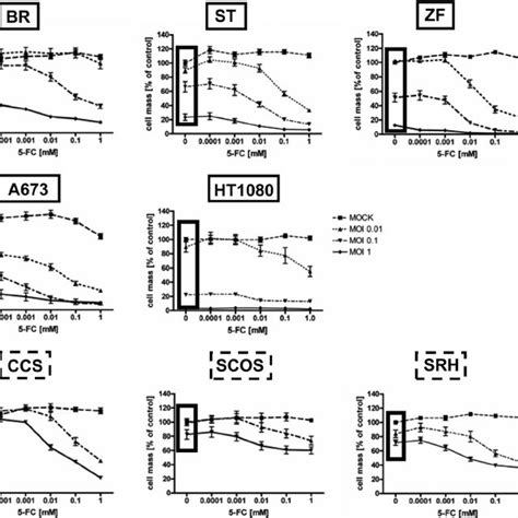 Susceptibility Of Sarcoma Cell Lines To Mev Mediated Oncolysis Sar