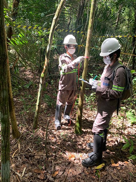 BION Engenharia Ambiental Assessoria em Gestão Ambiental