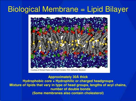 Ppt Challenges And Methods In Transmembrane Protein Structure