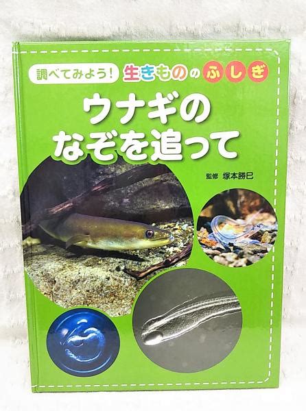 ウナギのなぞを追って 塚本勝巳 監修 古本、中古本、古書籍の通販は「日本の古本屋」