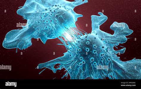 Cancer Cells Dividing Illustration Stock Photo Alamy