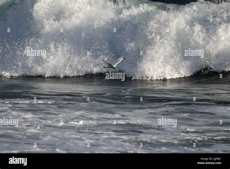 Fly Over The Ocean Waves Hi Res Stock Photography And Images Alamy