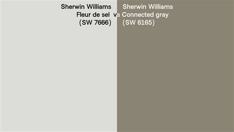 Sherwin Williams Fleur De Sel Vs Connected Gray Side By Side Comparison