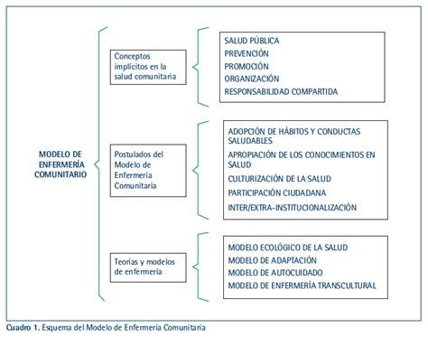 Mapa Conceptual De Enfermer A Comunitaria En El Aga