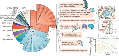 Co Occurring Genomic Alterations In Non Small Cell Lung Cancer Biology And Therapy Abstract