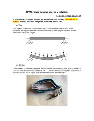 UIVA5 Esfuerzos Térmicos y Ley de Hook UIVA5 Esfuerzos Térmicos y