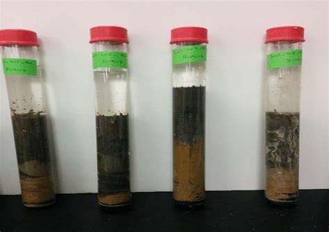 Sediment Cores Were Taken On An Approximate Monthly Basis From Spatial