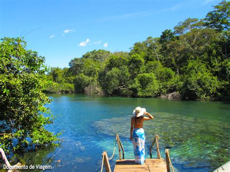 Lagoa Do Japon S Um O Sis No Cerrado Do Tocantins