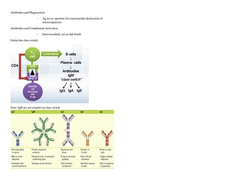 SOLUTION Immunology Reviewer And Practice Quiz Concepts Studypool