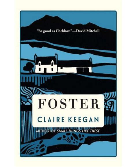 Barnes And Noble Foster By Claire Keegan Macys