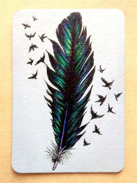перья рисунок зенарт Feather Sketch, Painting & Drawing, Canvas ...