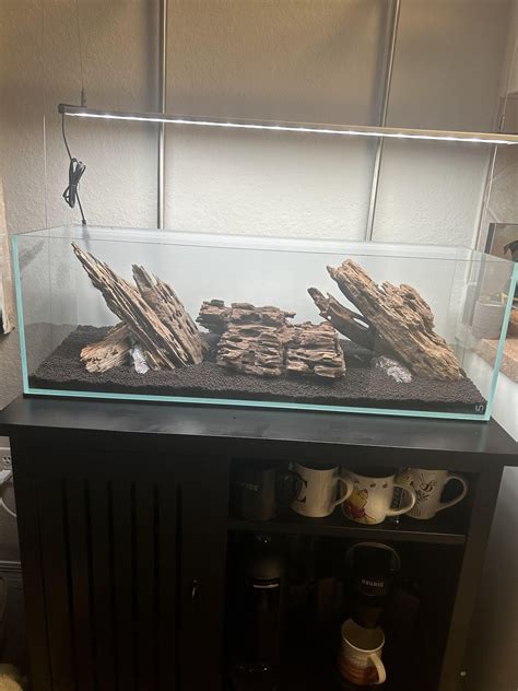 Which One Looks Better 123 Raquariums