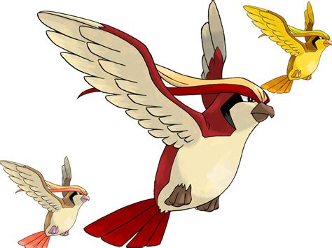 Pidgeot Shiny by EpicGordoMan on DeviantArt