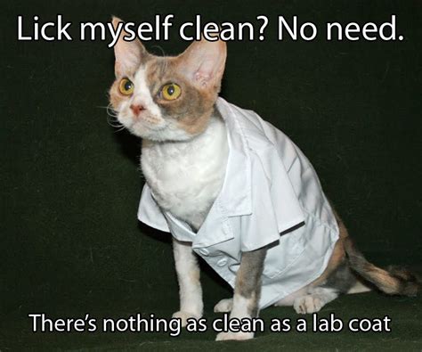 Razzleros Blog Nothing As Clean As A Lab Coat