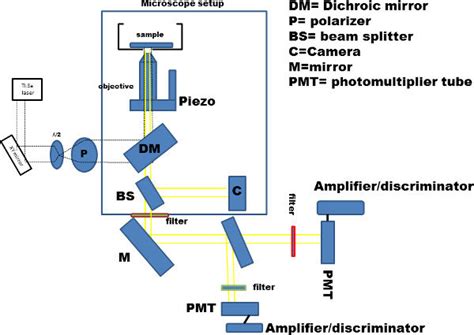 Schematics Of The Experimental Setup Modified Two Photon Microscope