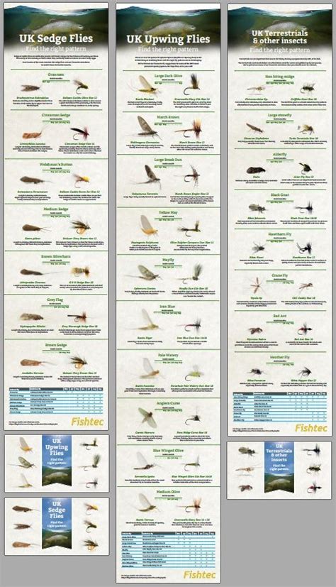 Trout Fly Fishing Flies Chart