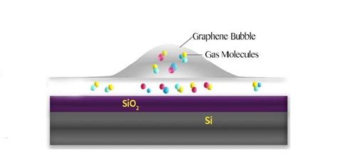 Physical Properties of Graphene - WalkerrilloVaughan