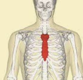 Pulmonary Flashcards Quizlet