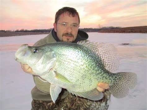 World Record Crappie 12 Of The Biggest Crappie Ever Field