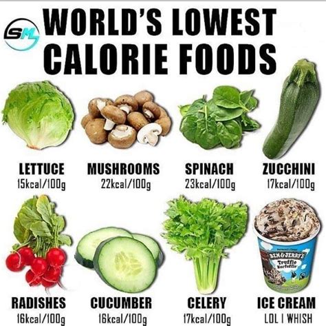 Worlds lowest calorie foods | Negative calorie foods, Low calorie foods ...