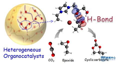 《acs Catalysis》报道王军教授课题组最新成果