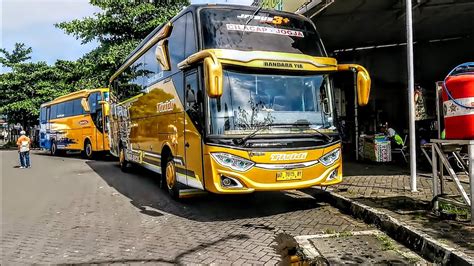 BUS EFISIENSI REGULER SEDANG KIR DIISI ARMADA TIVIDI PARIWISATA