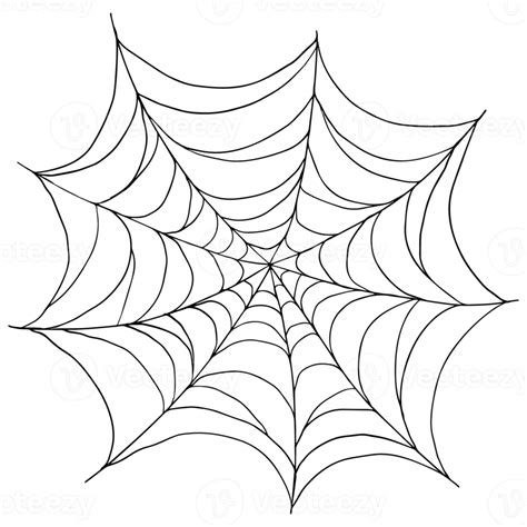 Spider Web For Halloween And Cobweb Elements Png